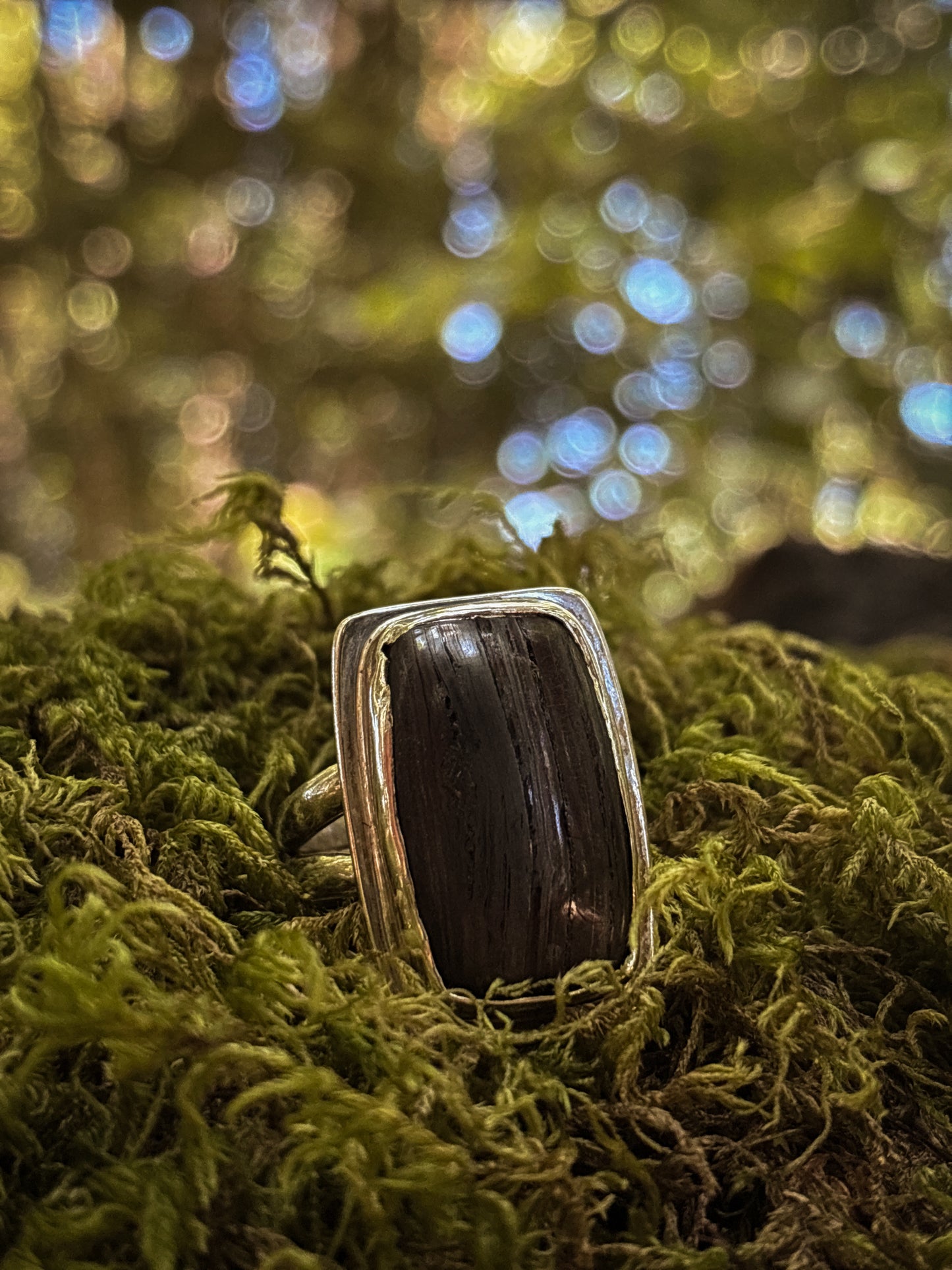 Petrified Wood Grove Ring - Size 5