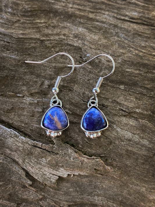Sodalite Silver Drop Earrings