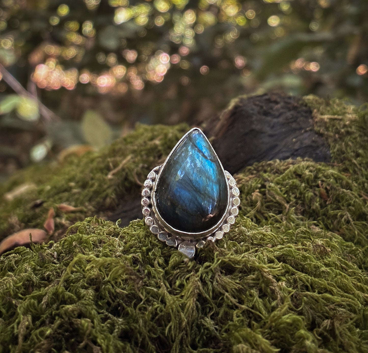 Labradorite Halo Ring with Beaded Frame - Size 6.5