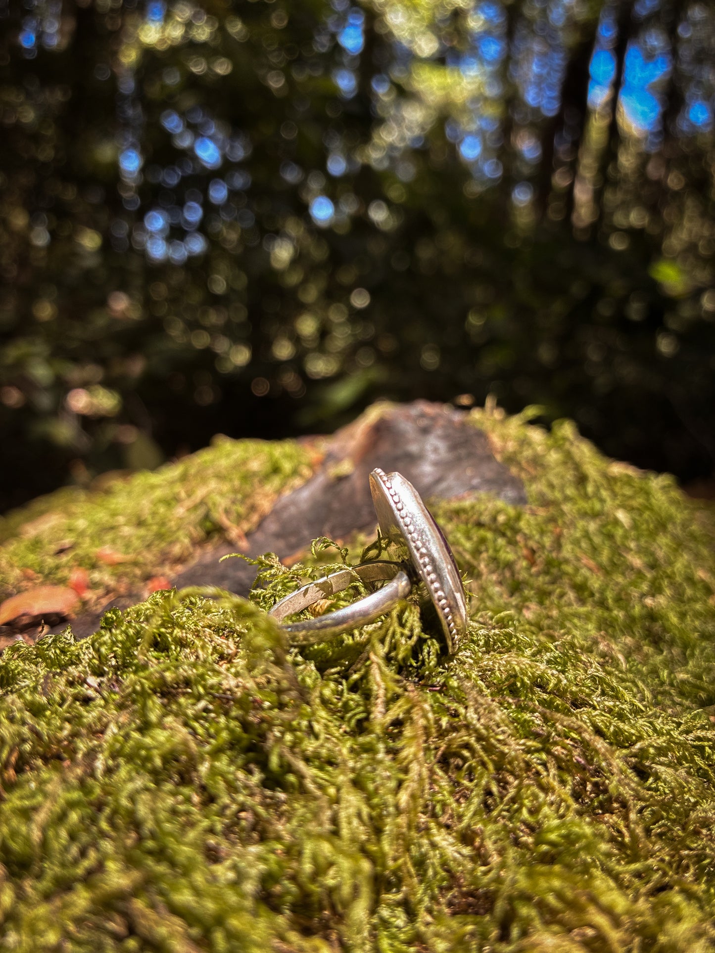 Ametrine Twilight Forest Ring - Size 5
