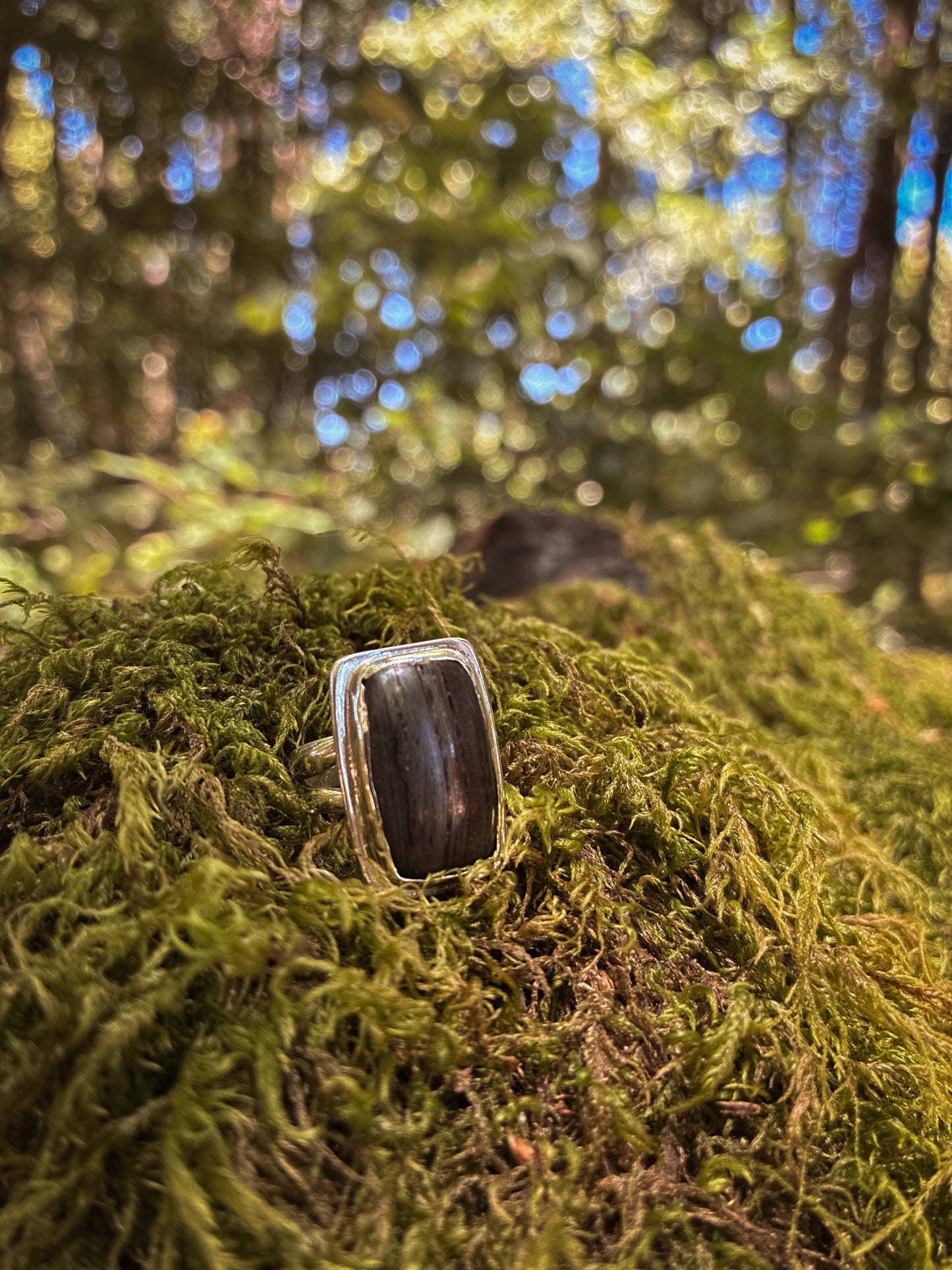 Petrified Wood Grove Ring - Size 5