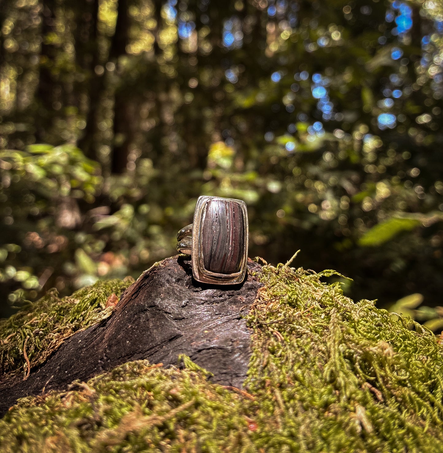 Petrified Wood Grove Ring - Size 5